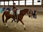 voltitag 2009 _CD1 047